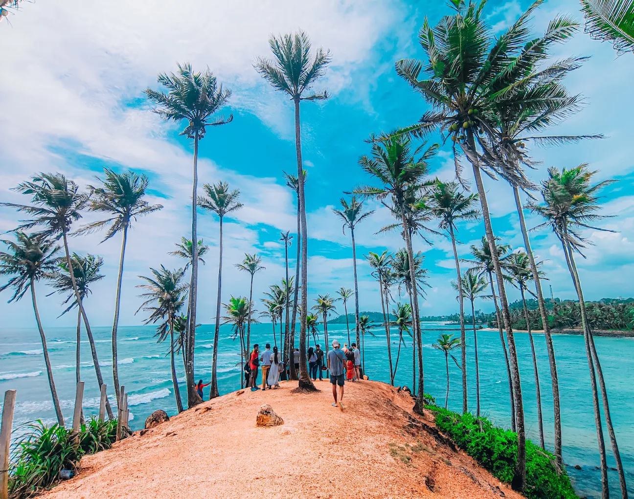 Coconut Tree Hill — a palm-covered headland dropping to the sea near Mirissa